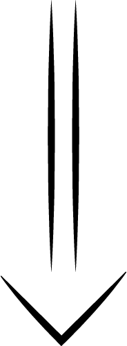 arrow-down-double